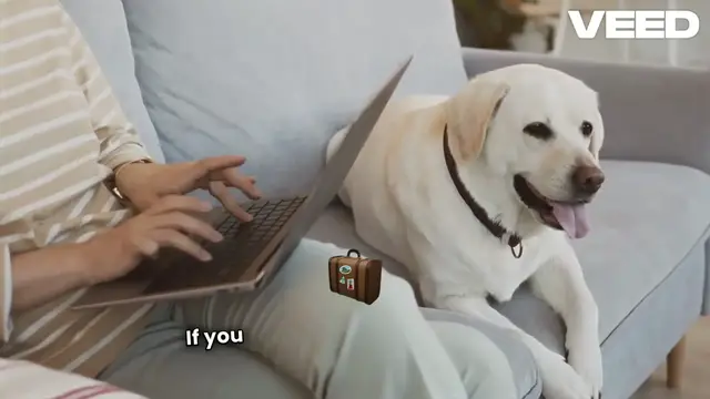 Video thumbnail for Are Petsafe Wireless Fences Worth It