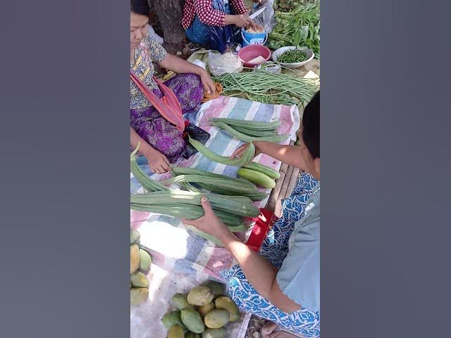 Video thumbnail for Nature Market 💚