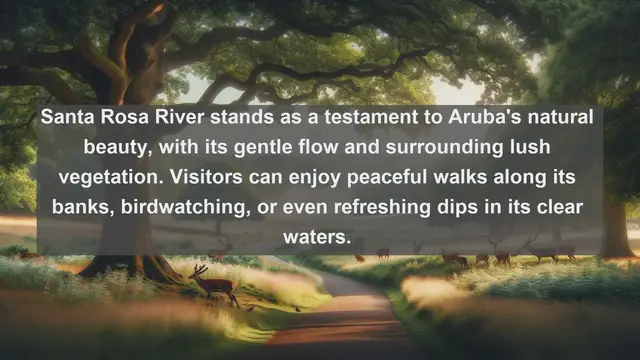 Video thumbnail for Exploring Aruba's Natural Treasures: Top 10 Famous Rivers You Must Visit