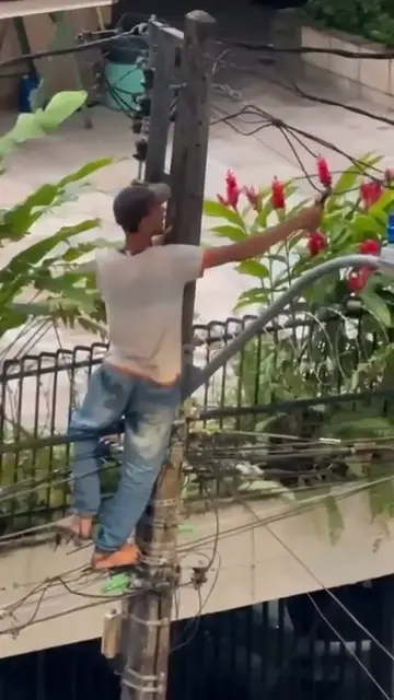 Video thumbnail for O cobre é muito valioso vale a pena o risco de virar churrasco🤣🤣