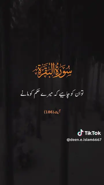 'Video thumbnail for سورہ البقرة'