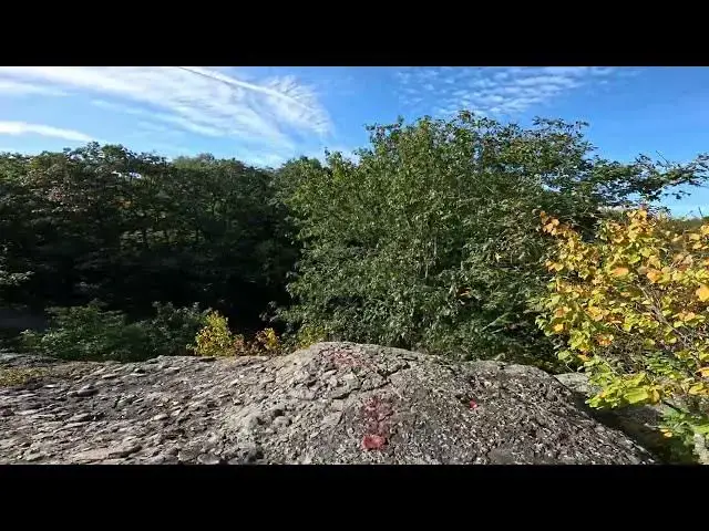 Video thumbnail for Urban Parks: Majestic Views from Franklin Park in Boston, Massachusetts