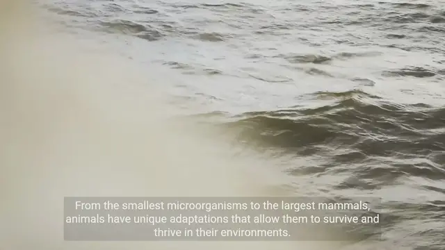 Video thumbnail for Exploring Animal Biology