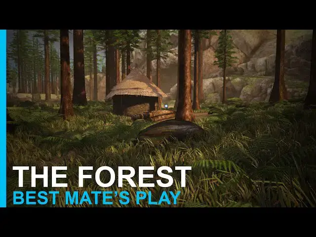 'Video thumbnail for Best Mate's Play: The Forest'