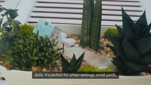 Video thumbnail for Container Gardening For Beginners