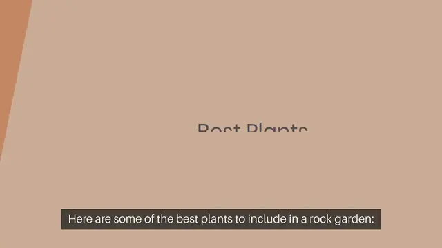 Video thumbnail for Best Plants For A Rock Garden