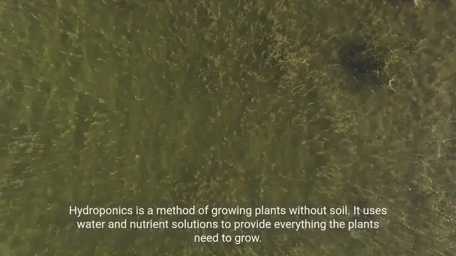 Video thumbnail for Hydroponics: Revolutionizing Plant Growth