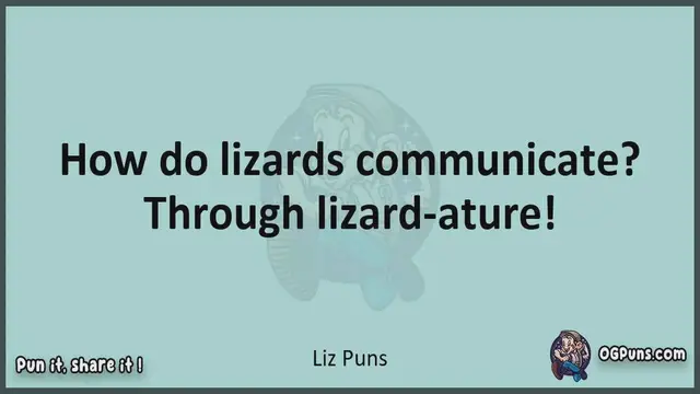 Video thumbnail for Liz - Jokes, Puns, Wordplays, and Laughter