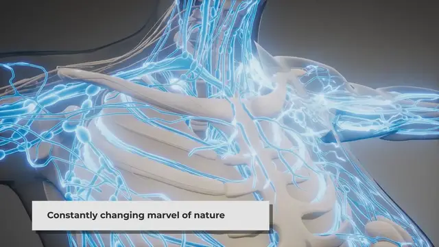 Video thumbnail for 5 Surprising Facts About Your Body You Didn't Know