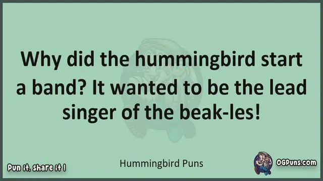 Video thumbnail for Hummingbird - Jokes, Puns, Wordplays, and Laughter