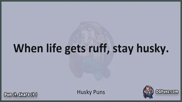 Video thumbnail for Husky - Jokes, Puns, Wordplays, and Laughter