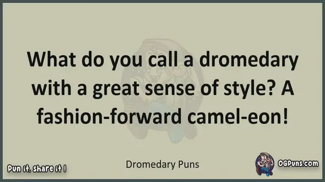 Video thumbnail for Dromedary - Jokes, Puns, Wordplays, and Laughter