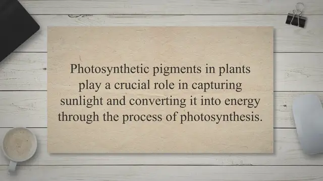 Video thumbnail for Photosynthetic pigments in plants and their types