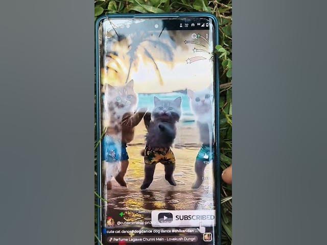 Video thumbnail for magic video usa content #newshortvideo  #trending #viralvideo #creativecontent