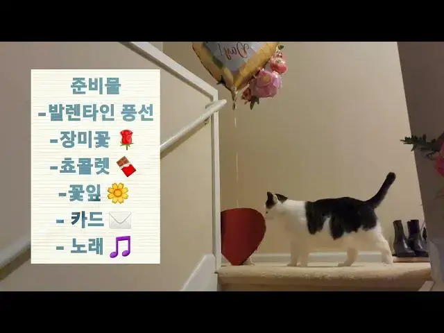 Video thumbnail for 발렌타인 데이 생명연장 프로젝트.