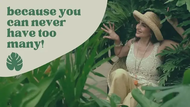 Video thumbnail for Green & White Promotional Small Business Plant Nursery