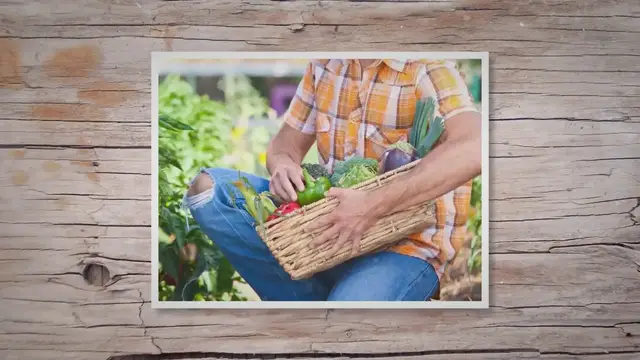 'Video thumbnail for Five Disadvantages Of Organic Farming (Plus Six Advantages)'