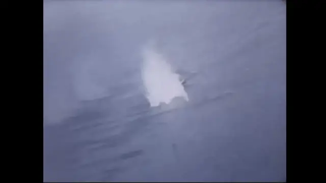 Video thumbnail for P-51s Strafe Japanese Shipping WWII.