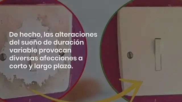 Video thumbnail for Todos deberíamos dormir con estas 4 plantas en el dormitorio: curan el insomnio y la apnea del sueño: