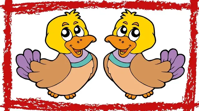 Video thumbnail for Tufted Duck (Aythya Fuligula) Video | Tufted Duck Sound | Tufted Duck  Call