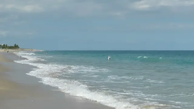 Video thumbnail for Vacation at Vero Beach FL
