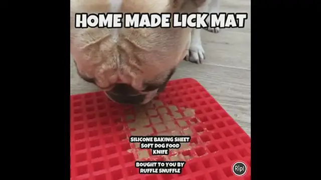 'Video thumbnail for Home Made Lick It Mat - Canine Enrichment'