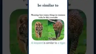 Video thumbnail for "Be similar to" meaning | "be similar to" in a sentence | Common English Idioms #shorts