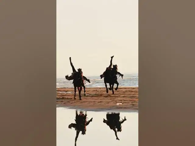 'Video thumbnail for Facts and Horus heresy #xinjiang #shorts'