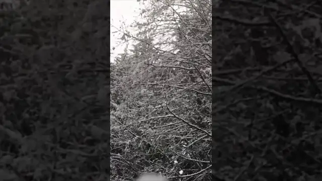 'Video thumbnail for Snowfall in slowmo'