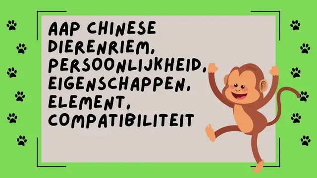 Video thumbnail for Aap chinese dierenriem, persoonlijkheid, eigenschappen, element, compatibiliteit