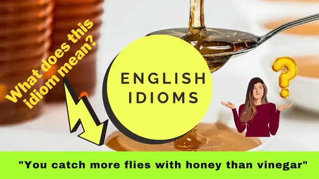 Video thumbnail for What does "you can catch more flies with honey" mean?  (Idioms in English, idioms explained)