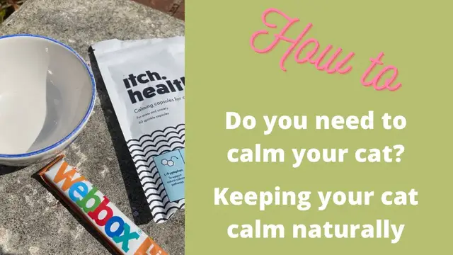 Video thumbnail for Natural Calming Supplement for Cats. (VideoVet link in the Description Box)