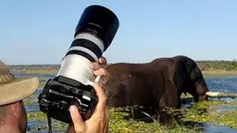 Video thumbnail for What Camera and Lens to Take on Safari for Wildlife?
