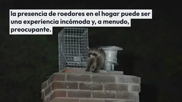 Video thumbnail for Untitled_video (69)