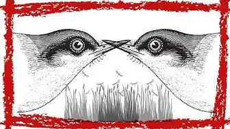 Video thumbnail for 10 Minutes Brown-headed Cowbird Song/Call/Sounds