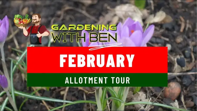 'Video thumbnail for ✅ February Allotment Tour 🌿❄️ | Winter Updates & Early Prep Tips for a Thriving Spring Garden 🌸✨'