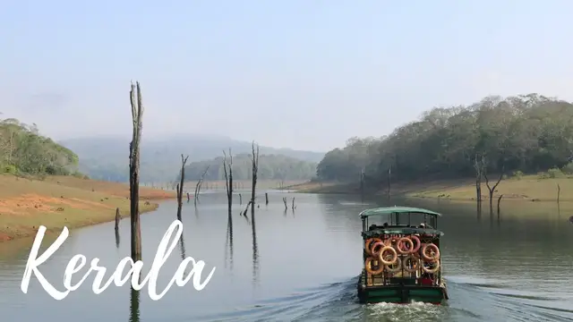 Video thumbnail for EXPLORING WILD TIGER RESERVE - Kerala India Vlog