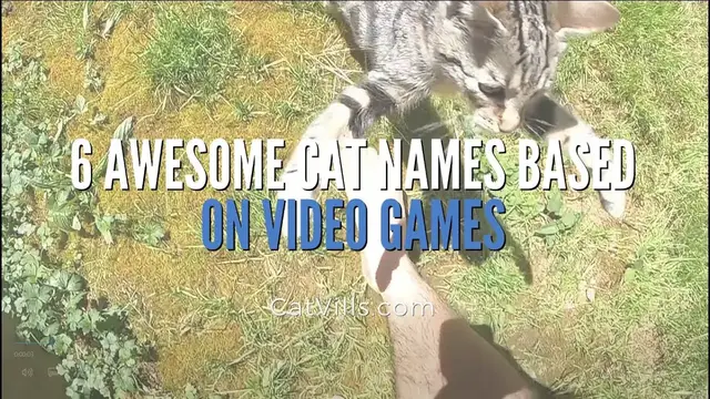 'Video thumbnail for 6 AWESOME CAT NAMES BASED ON VIDEO GAMES'