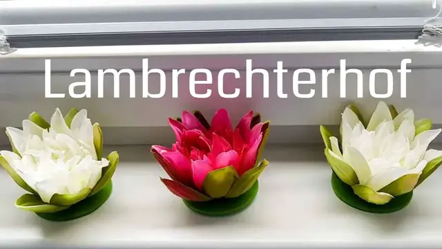Video thumbnail for Sankt Lambrecht Hotel - Der Lambrechterhof