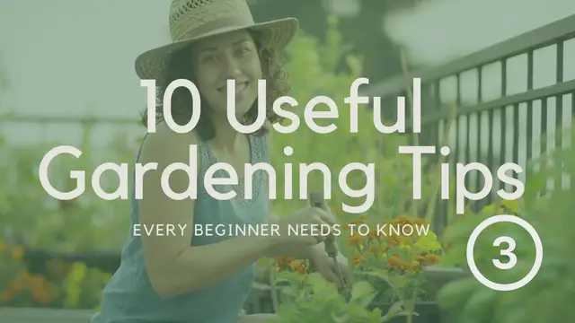 Video thumbnail for 10 Useful Gardening Tips Every Beginner Needs to Know - Part 3