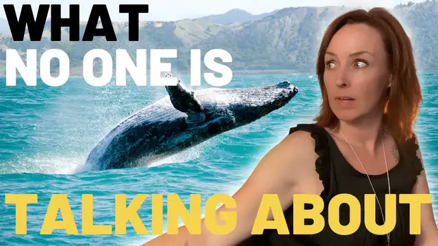 Video thumbnail for 16 Unique Things To Do In Maui [WHAT NO ONE ELSE IS TALKING ABOUT]