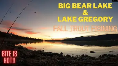 'Video thumbnail for Big Bear Lake & Lake Gregory Fall Fishing || 30 Trout from Shore using Carolina Rig || Bite is HOT!!'