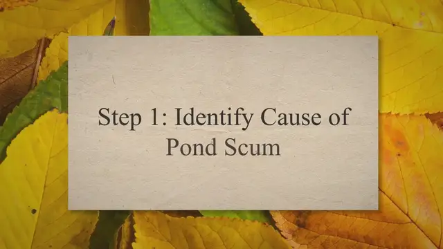'Video thumbnail for What Is Pond Scum? (Plus, How to Get Rid of Pond Scum for Good)'