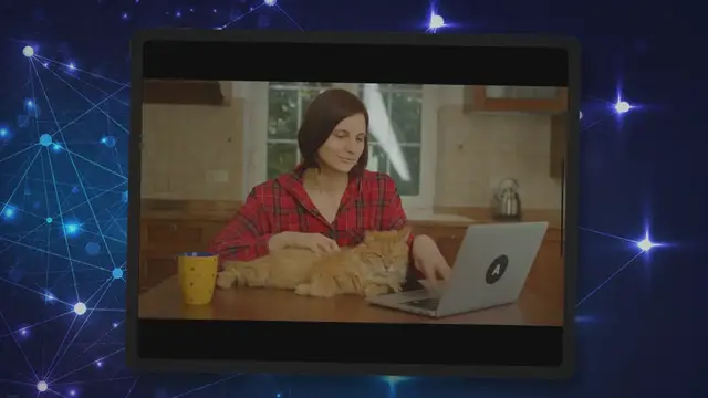 Video thumbnail for Safe Pets Travel USA To India: Cost and How-To