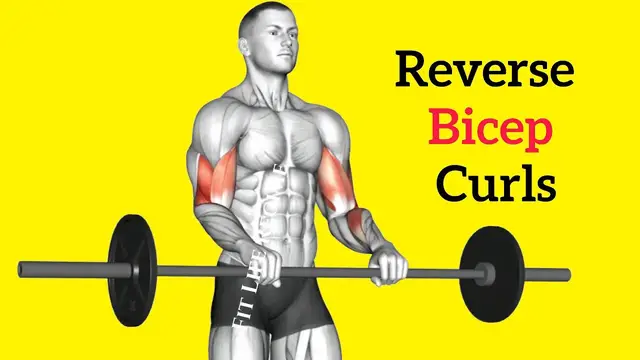 Video thumbnail for 5 Most Effective REVERSE BICEP CURLS VARIATION For Killer Arms & Forearms