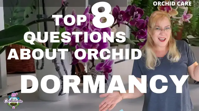 Video thumbnail for Orchid Dormancy