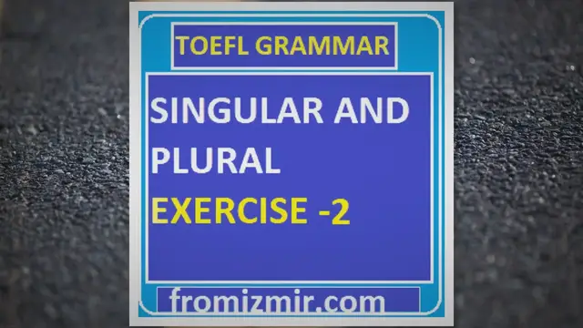 Video thumbnail for Singular And Plural Nouns Exercise -2