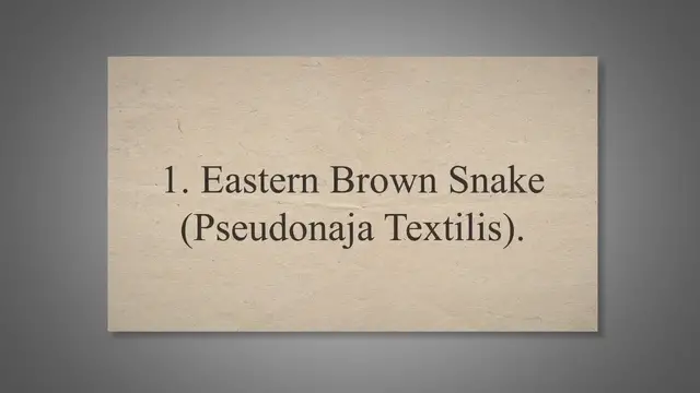 Video thumbnail for 10 Most Venomous Snakes In The World