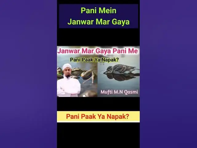 Video thumbnail for Pani Paak Hai Ya Napak? #shortsfeed #islamicmaslemasail #islamicknowledge #paknapak