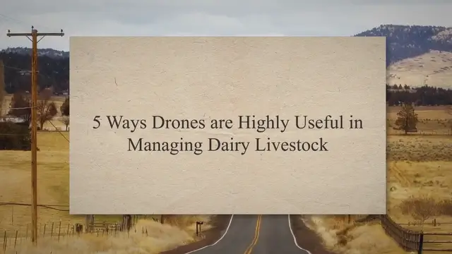 'Video thumbnail for 5 Ways Drones Are Highly Useful In Managing Dairy Livestock'